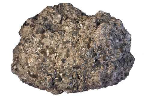 Phosphate Rock