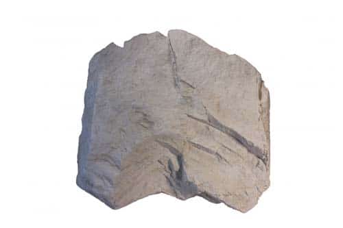 Diatomite